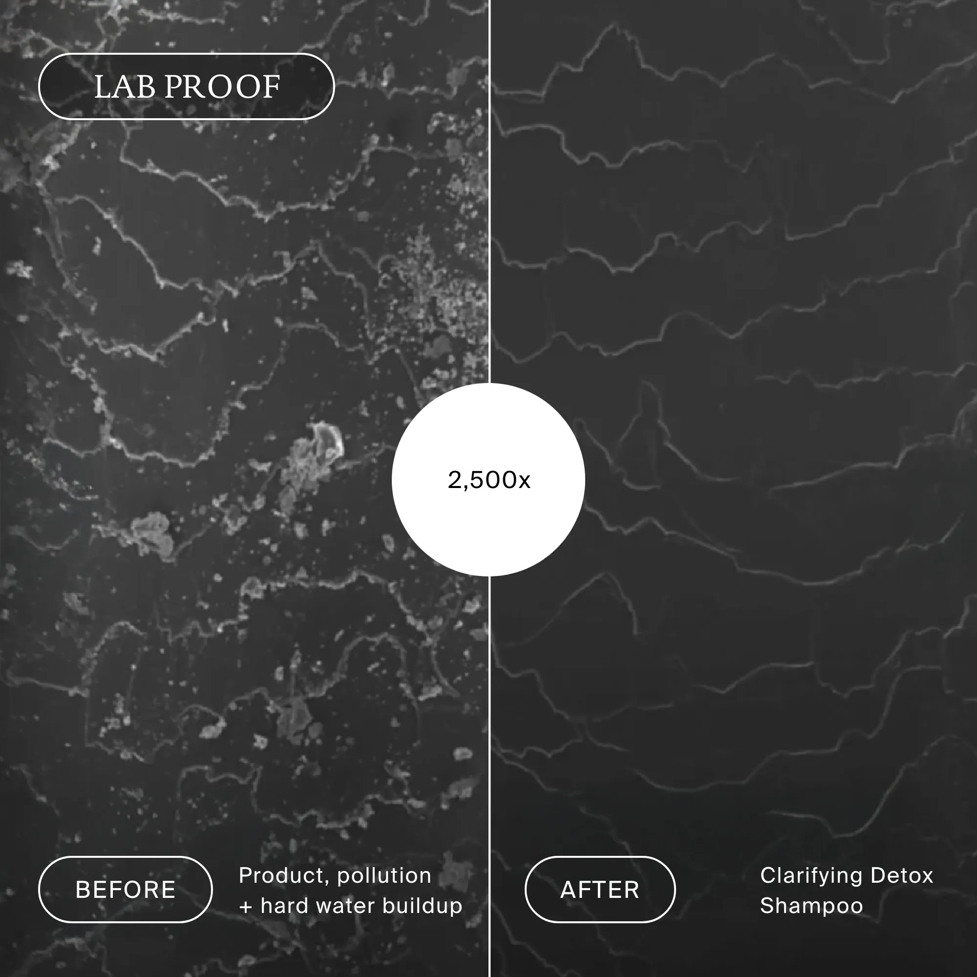 Clarifying Detox Shampoo - Image 6